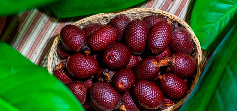 Aguaje, fruto Amazónico rico en fitoestrógenos